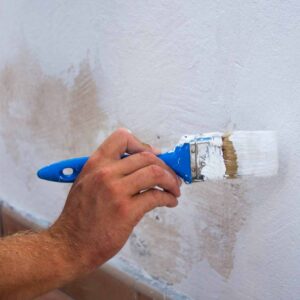 Fassadensanierung: Wann ist der richtige Zeitpunkt?